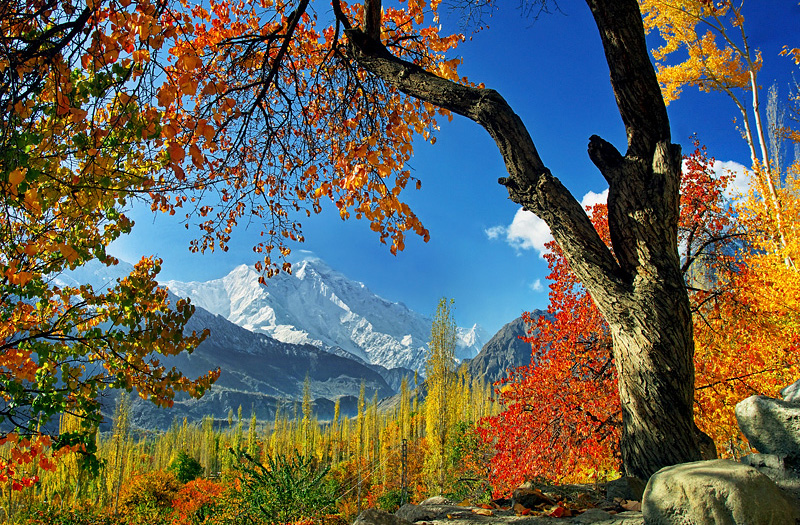 Rakaposhi Peak in Autumn