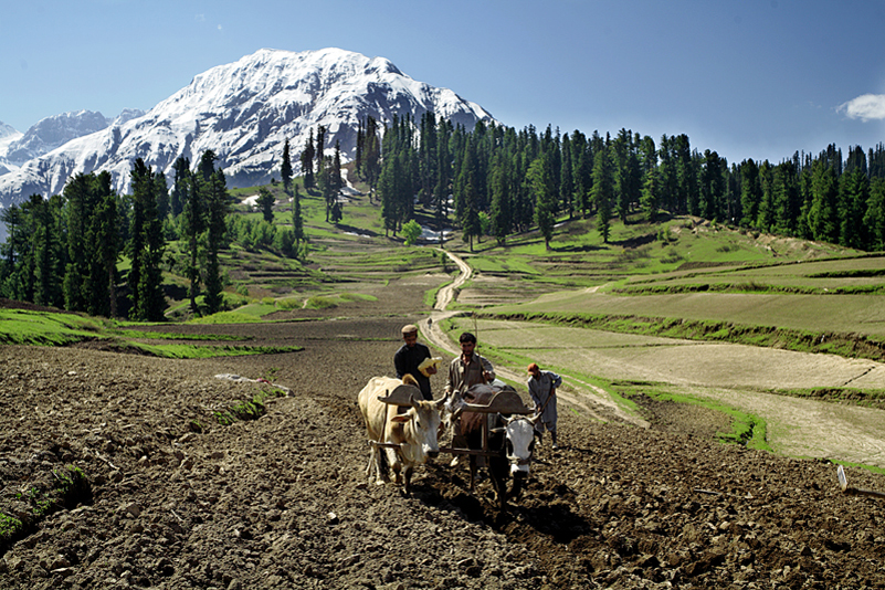 Kaghan Valley Tour