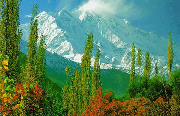 Rakaposhi Base Camp Trek